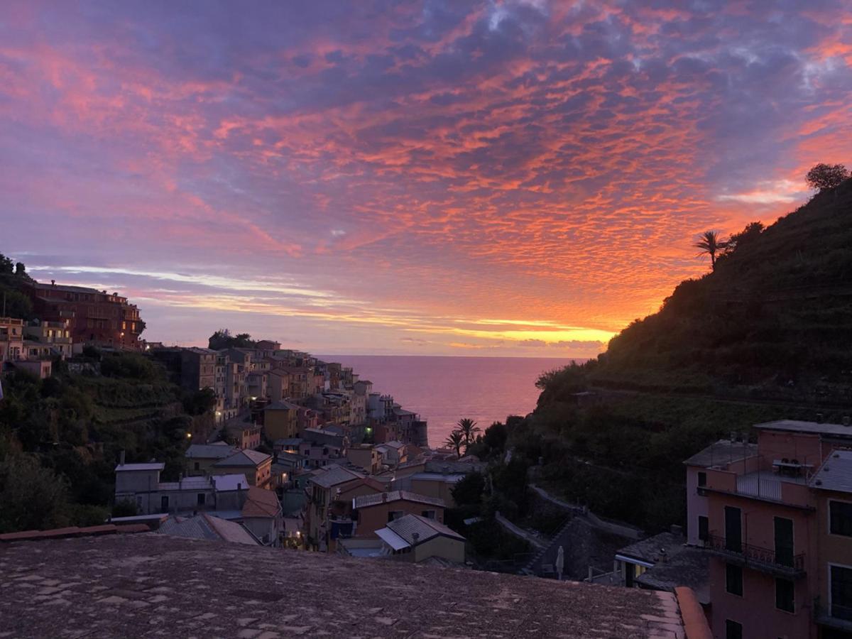 La Casa Del Gallerista Manarola Buitenkant foto